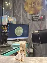 20260808_204114.webp